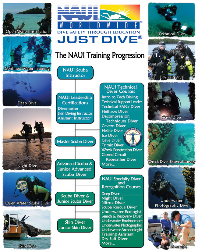 Diving Progression Chart