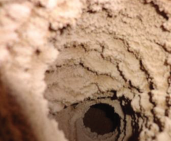 Lint build-up is hazardous in laundry extraction systems