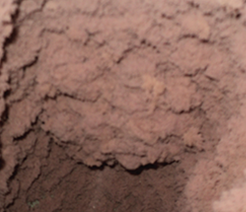 Footage of lint build-up in laundry systems