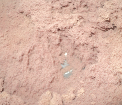 Marine industries laundry system ducts that require professional cleaning