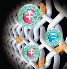 Marine industrial air purification systems